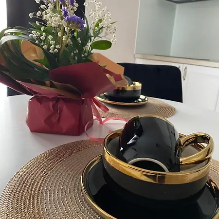 Apartment 4 Timisoara