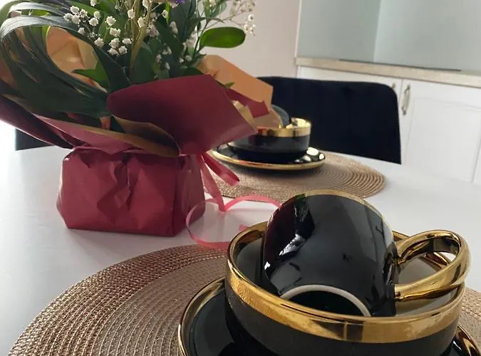 Apartment 4 Timisoara